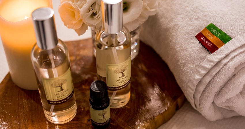 סאונה יבשה מלון קדם